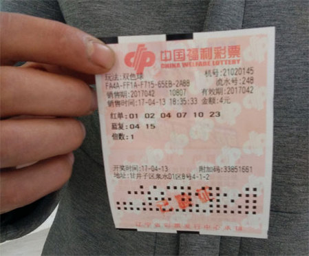 无家可归的美人