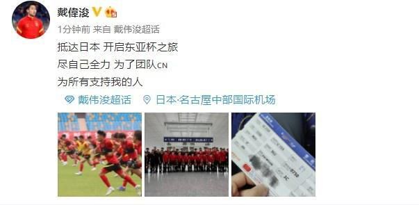 成年人视频免费在线播放