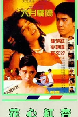 女人背后故事