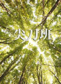 久久国产高清