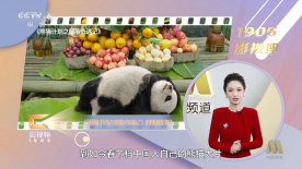 99热国内精品
