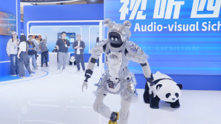 20岁的韩国少女